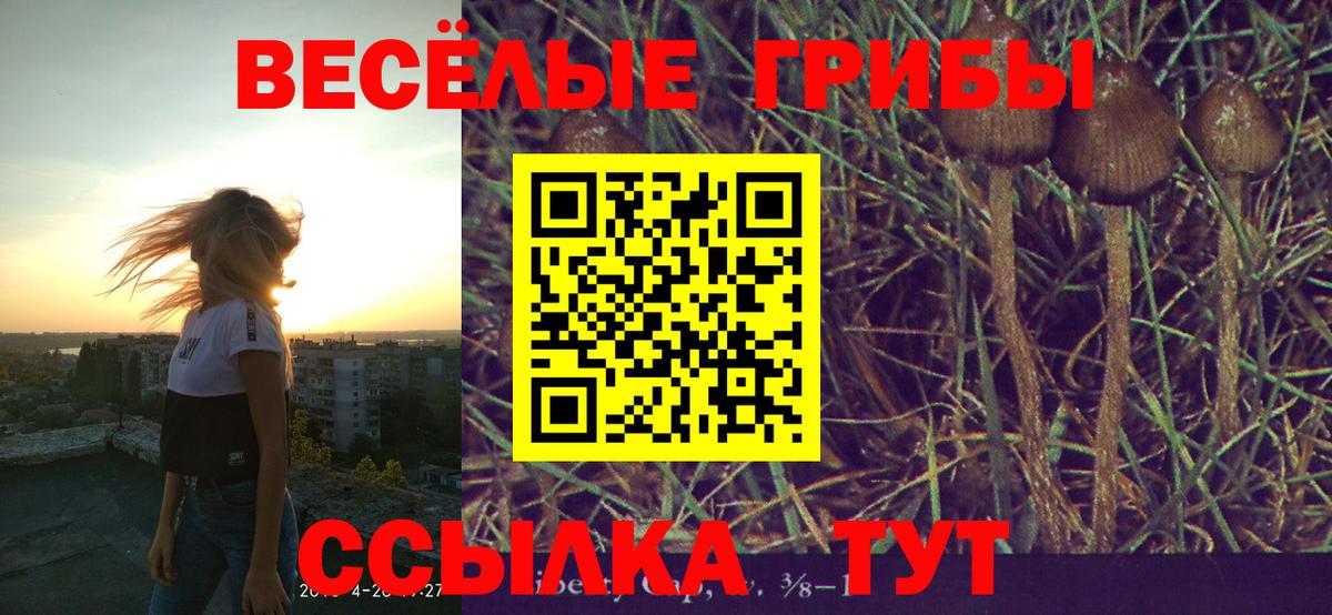 Калининград  Галлюциногенные грибы MAGIC MUSHROOMS  Вход с VPN 